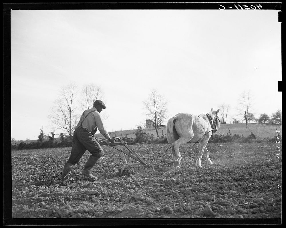  farmer plowing his field of four acres. Near Washington, Virginia. Sourced from the Library of Congress.