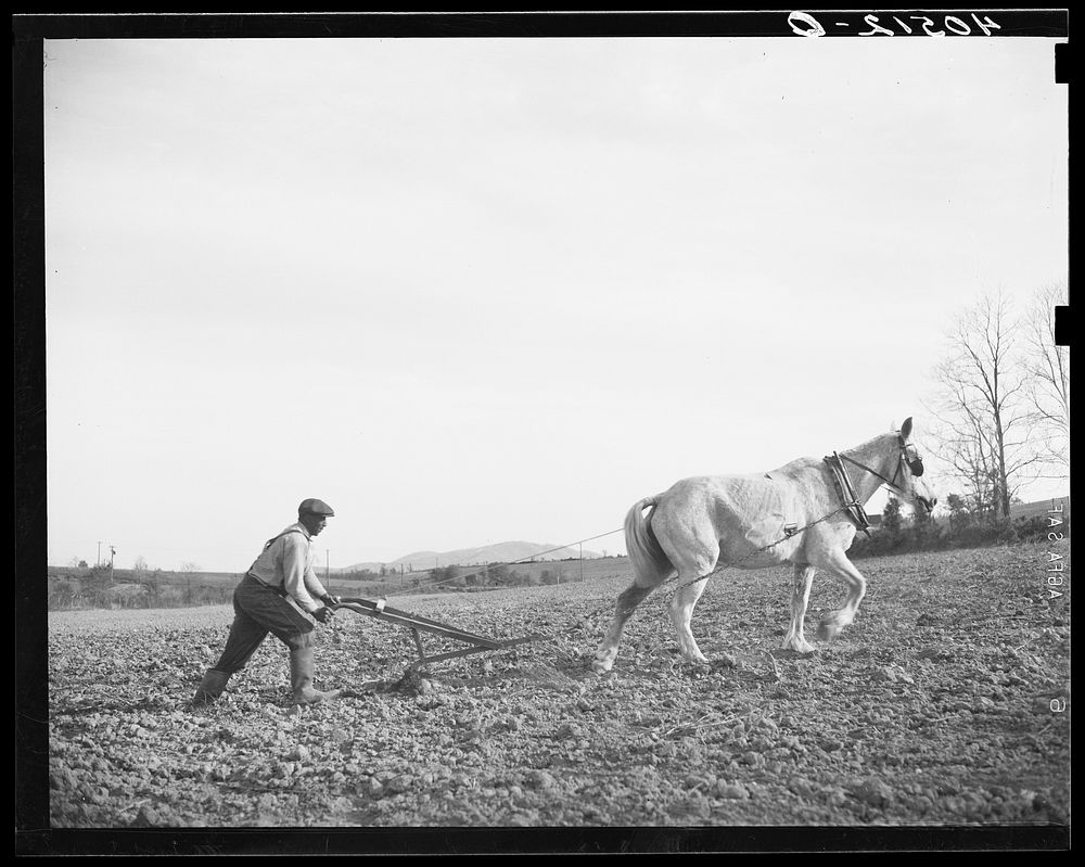 [Untitled photo, possibly related to: Farmer plowing his field of four acres. Near Washington, Virginia]. Sourced from the…