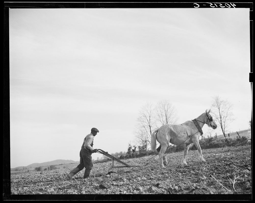 Farmer plowing his field of four acres. Near Washington, Virginia. Sourced from the Library of Congress.