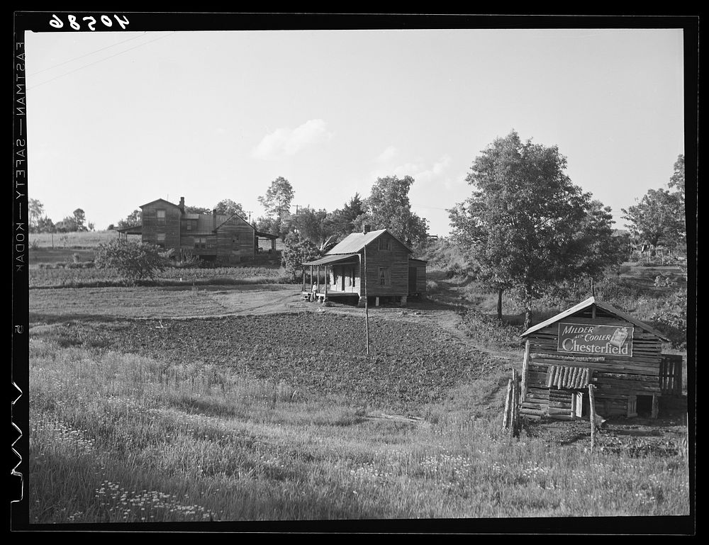 Farm landscape with tobacco barn. Highway 15 about five miles north of Durham, North Carolina. Sourced from the Library of…