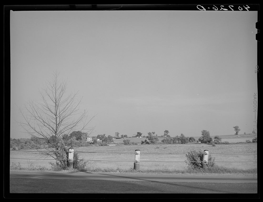 Farm along U.S. Highway No. 1 between Washington, D.C. and Baltimore, Maryland. Sourced from the Library of Congress.