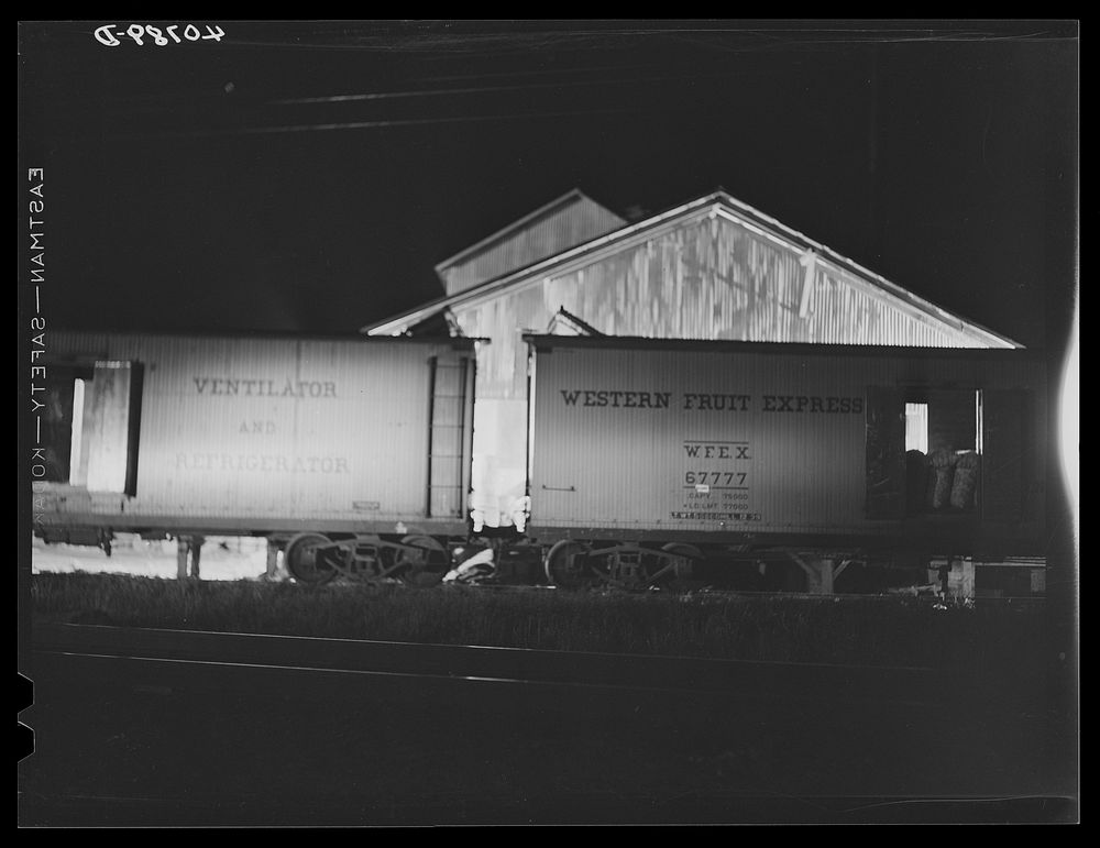 [Untitled photo, possibly related to: Potato grading station by night. Camden, North Carolina]. Sourced from the Library of…