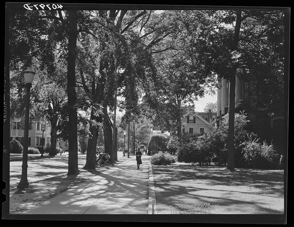 Main street in Elizabeth City, North Carolina. Sourced from the Library of Congress.