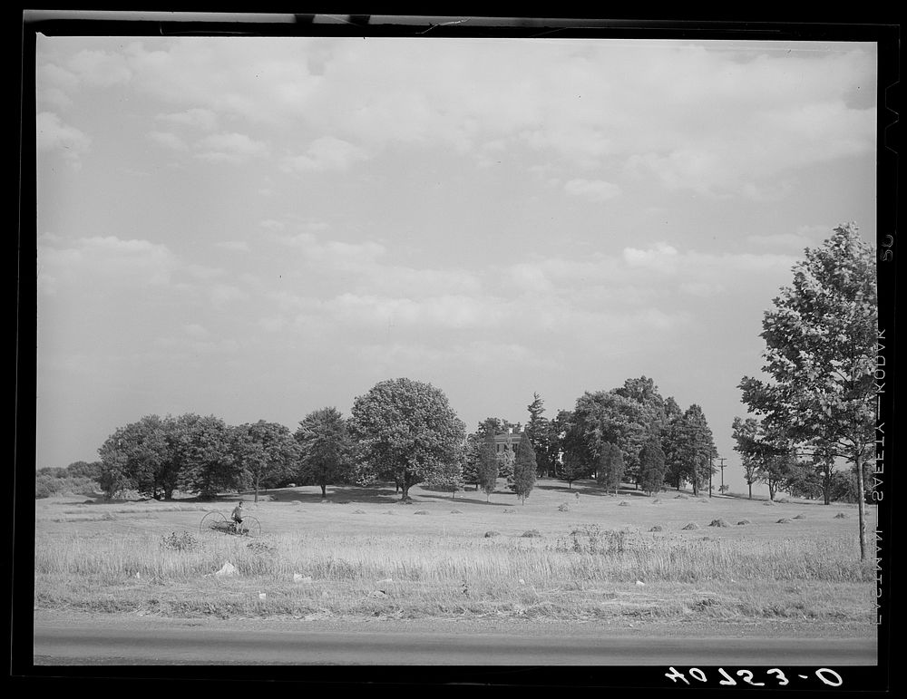 Farm along U.S. Highway No. 1 between Washington, D.C. and Baltimore, Maryland. Sourced from the Library of Congress.