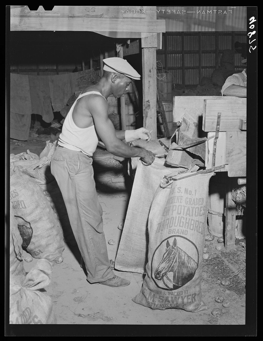 Migratory worker at the "number one" end of the grader at Belcross, North Carolina. Sourced from the Library of Congress.