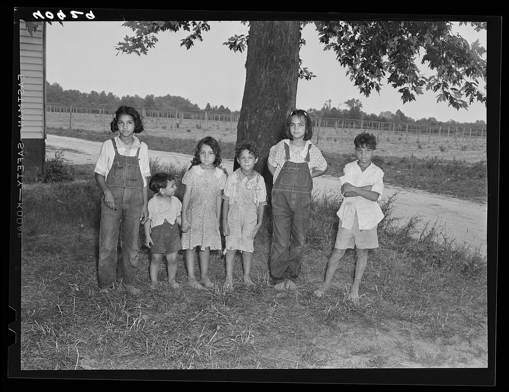 Children of Italian migratory workers who have come from Delaware to work in the onion fields near Cedarville, New Jersey.…