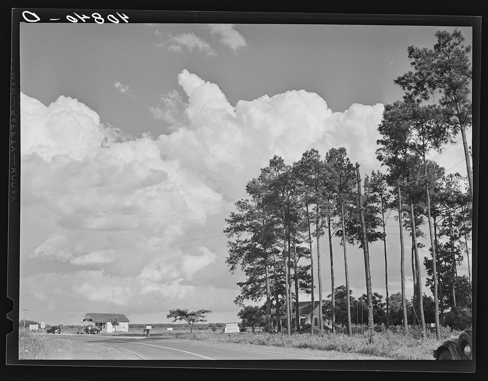 Turn in the road between Camden and Old Trap, North Carolina. Sourced from the Library of Congress.
