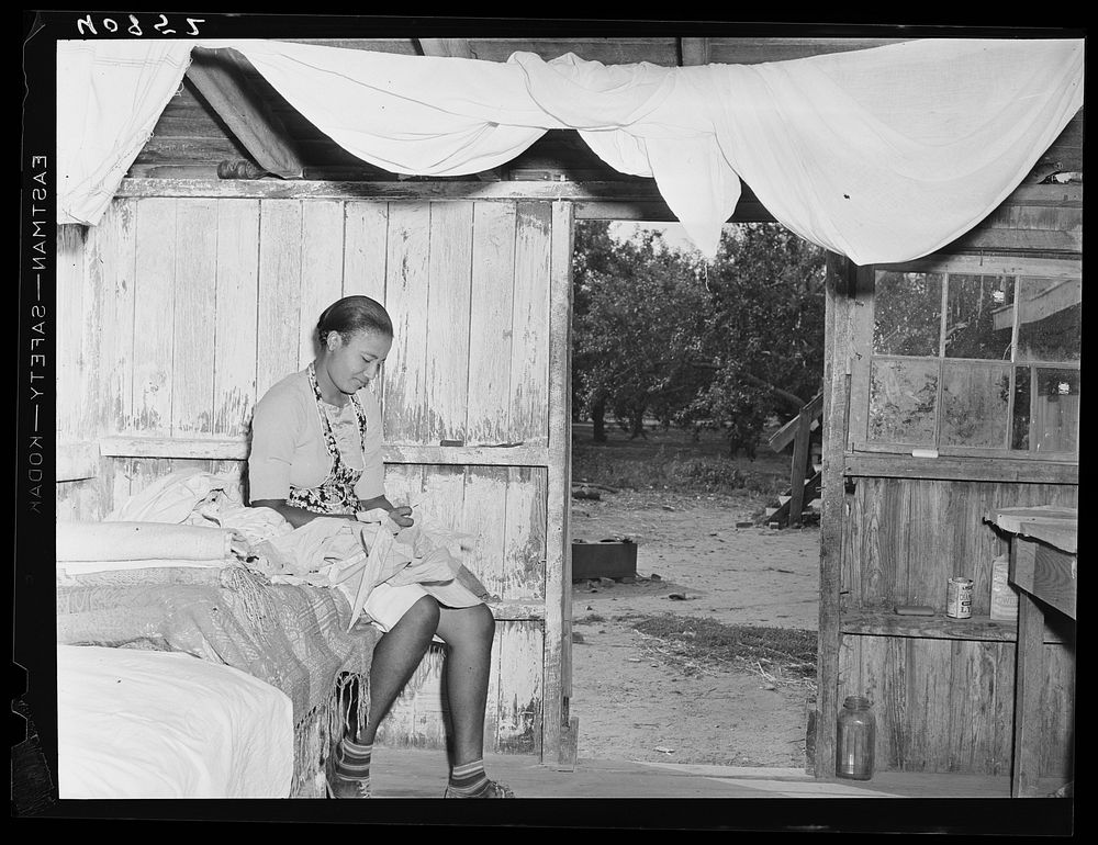 Interior of barracks for migratory workers picking apples at Bridgeville, Delaware. Sourced from the Library of Congress.