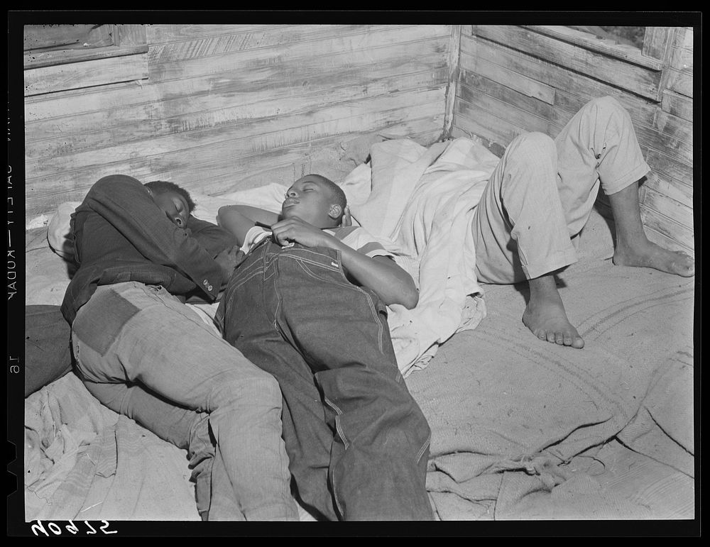 Belcross (vicinity), North Carolina. Migratory farm workers sleeping in a house where thirty-five persons are housed.…