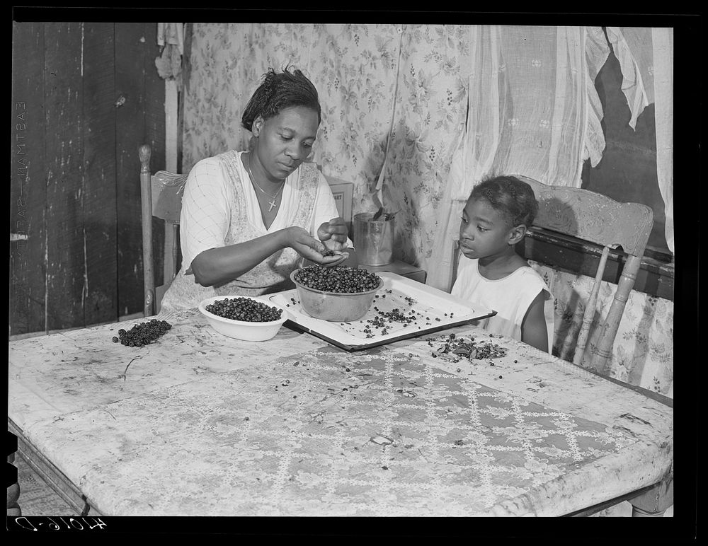 Mrs. George S. Carroll, wife of FSA (Farm Security Administration) client, preparing berries for canning. Beachville…