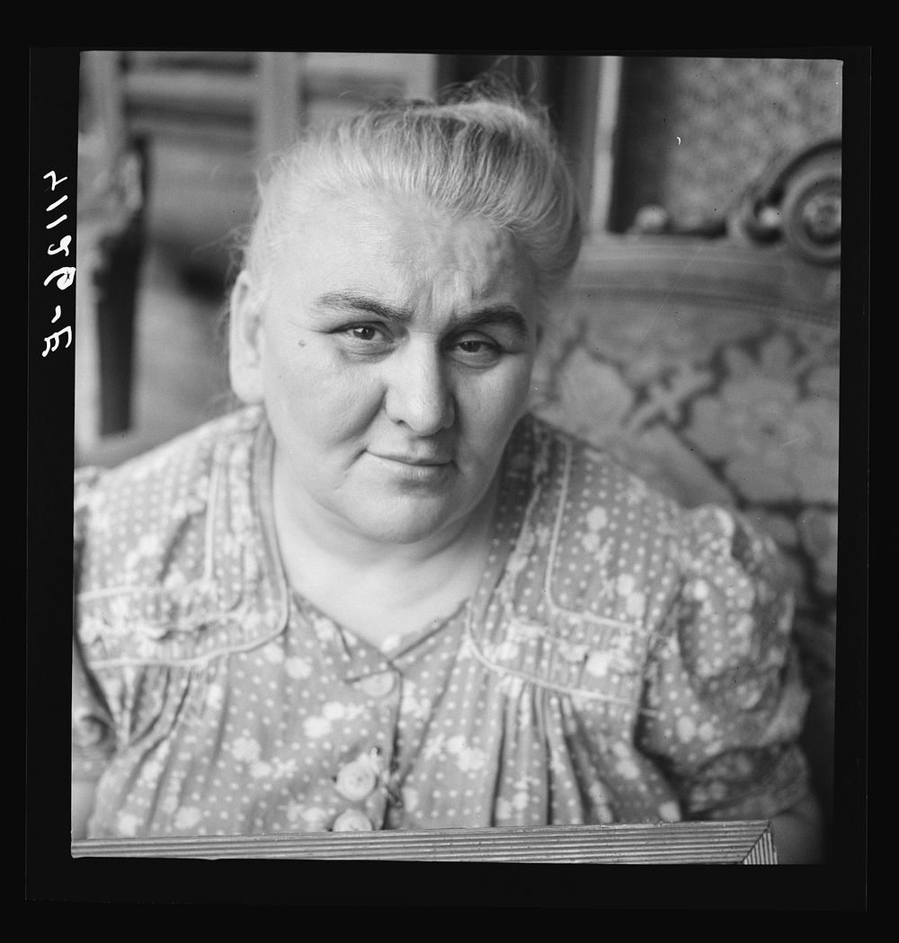 [Untitled photo, possibly related to: Polish woman living on High Street, Mauch Chunk, Pennsylvania]. Sourced from the…