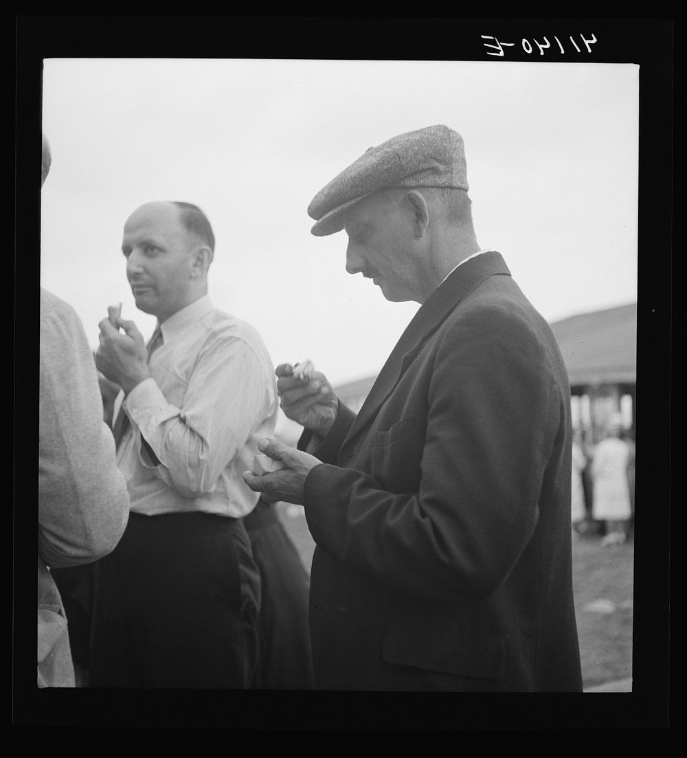 [Untitled photo, possibly related to: Members of the Strohl family at a family reunion in Flagstaff Park near Mauch Chunk…