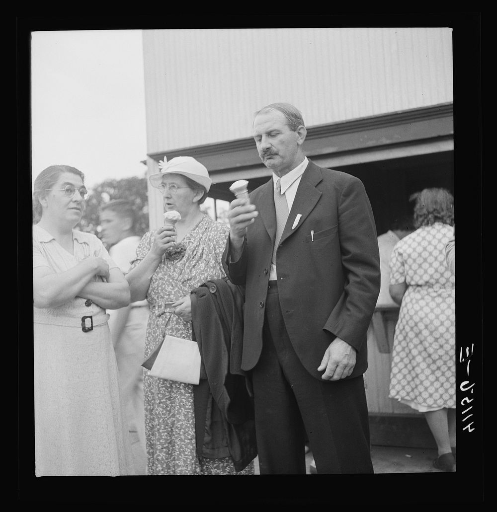 Members of the Strohl family at a family reunion in Flagstaff Park near Mauch Chunk, Pennsylvania. Sourced from the Library…