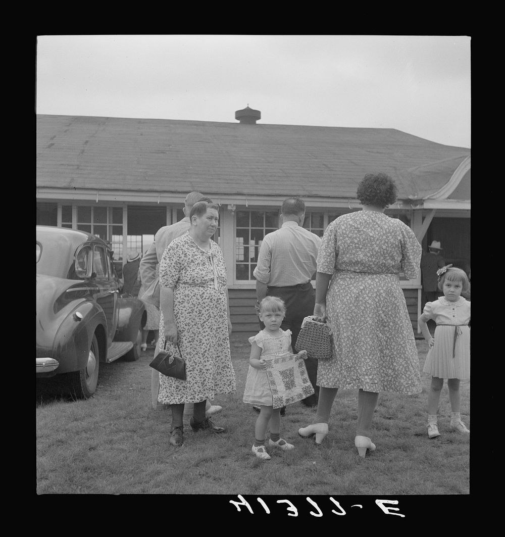 Members of the Strohl family at the reunion. Flagstaff Park, Mauch Chunk, Pennsylvania. Sourced from the Library of Congress.