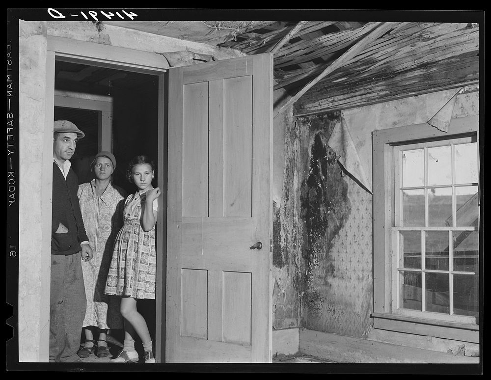 Mr. and Mrs. D'Anunnzio and their little girl, showing the condition of the roof in their house in the submarginal area of…