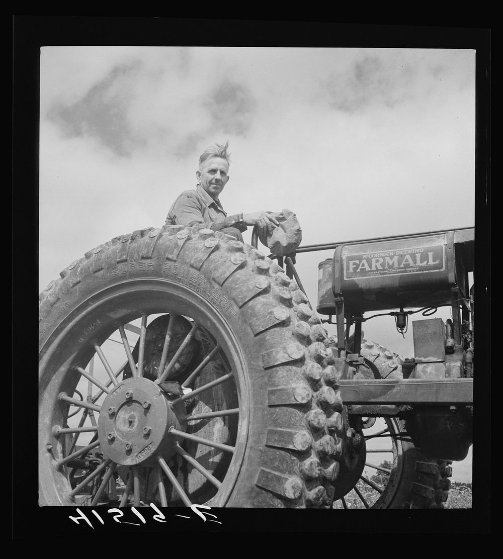 Farmer cutting a field of buckwheat along Route 79, near Ithaca, New York. Sourced from the Library of Congress.