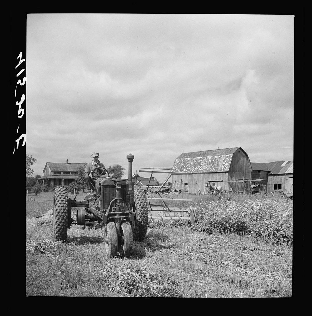 [Untitled photo, possibly related to: Farmer cutting a field of buckwheat along Route 79, near Ithaca, New York]. Sourced…