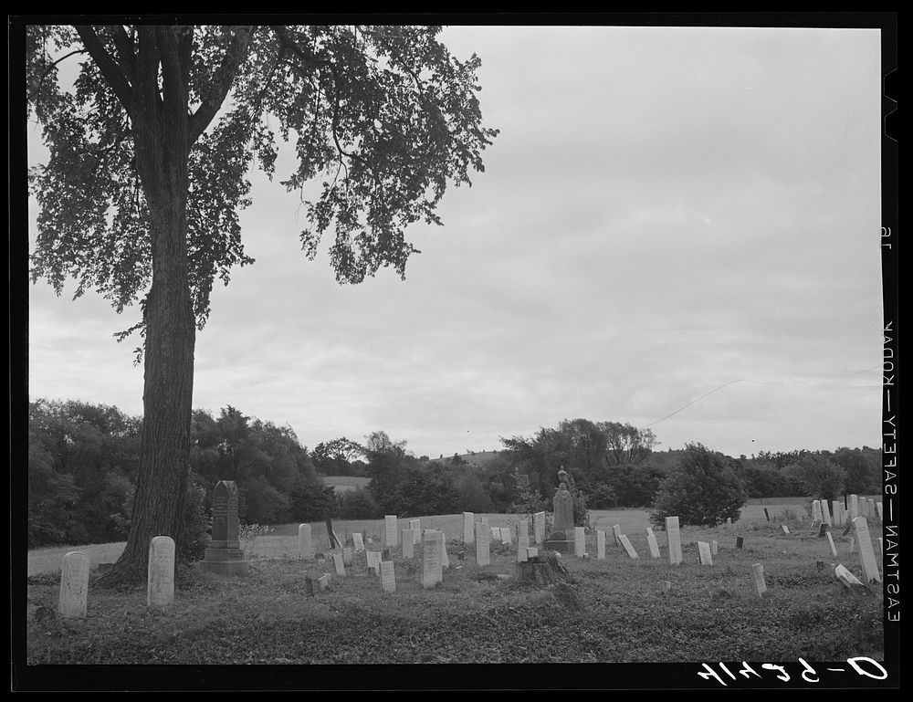 Graveyard near Townsend, New York. Sourced from the Library of Congress.