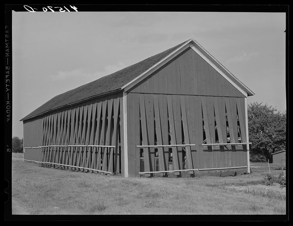 Tobacco barn on a farm near Windsor Locks, Connecticut. Sourced from the Library of Congress.