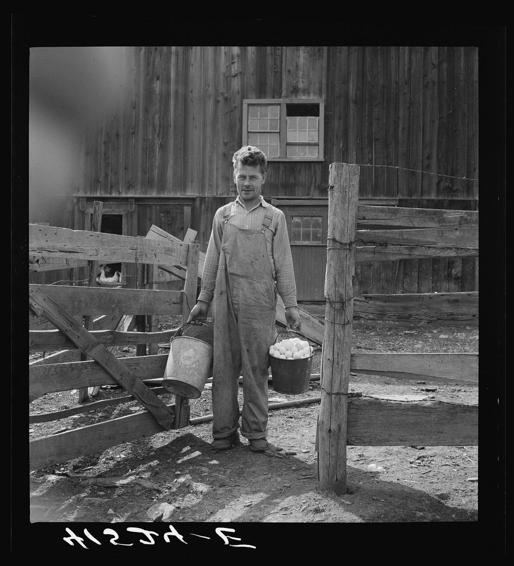 Mr. Uhro Miki, Finnish farmer in the submarginal area of Rumsey Hill, near Erin, New York. Sourced from the Library of…