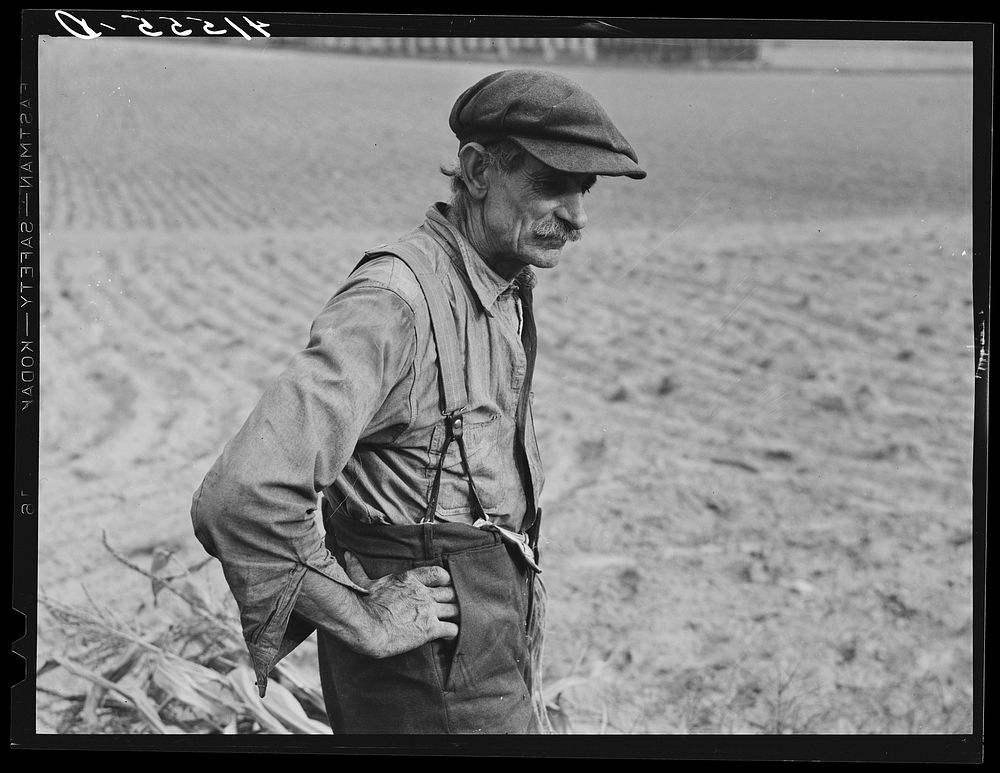 Connecticut farmer. Had just finished stacking his corn. Suffield, Connecticut. Sourced from the Library of Congress.