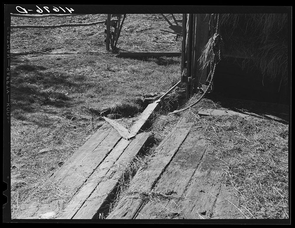 Dangerous entrance to barn on a farm near North Branford, Connecticut (safety film). Sourced from the Library of Congress.