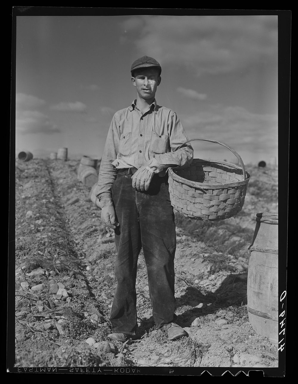 French-Canadian potato picker on a farm near Caribou, Maine. Sourced from the Library of Congress.