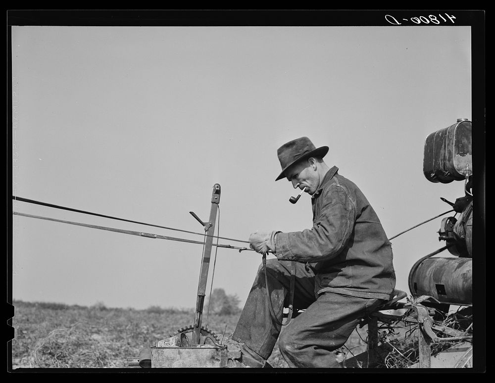 French-Canadian potato farmer driving a horse-drawn potato digger. Near Caribou, Maine. Sourced from the Library of Congress.