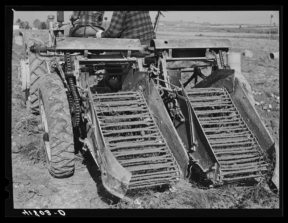 The rear part of a double-row potato digger used on a farm near Caribou, Maine. Sourced from the Library of Congress.
