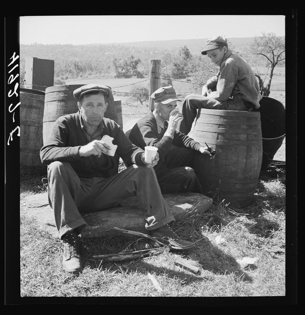Customers at the auction sale of Mr. Anthony Yacek's farm, taking time out for some lunch. Derby, Connecticut. Sourced from…