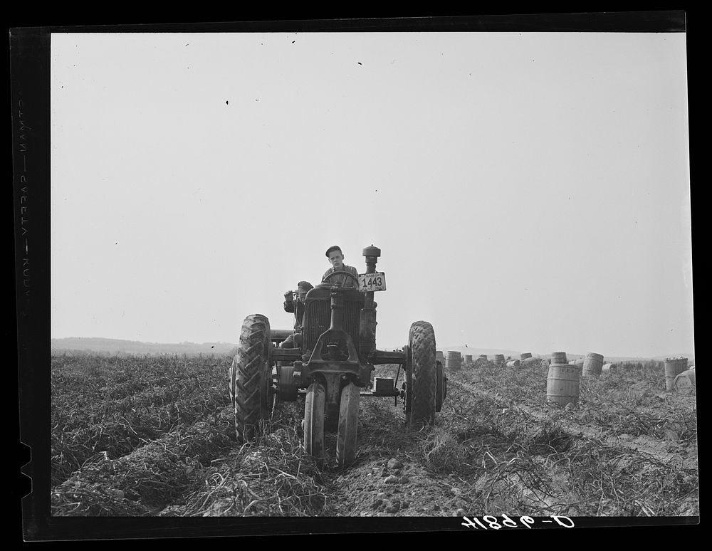 [Untitled photo, possibly related to: Tractor-drawn potato digger in a field near Caribou, Maine]. Sourced from the Library…