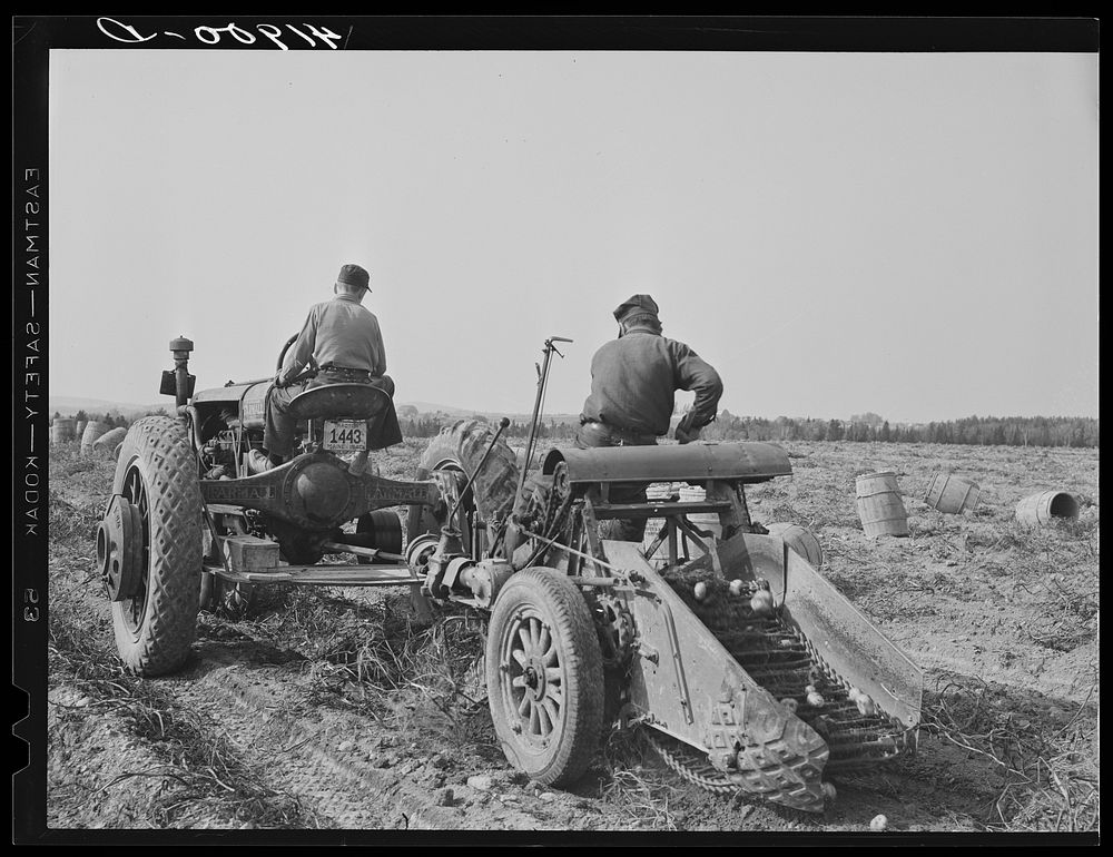[Untitled photo, possibly related to: Harvesting potatoes with a single-row tractor-drawn digger on a farm near Caribou…