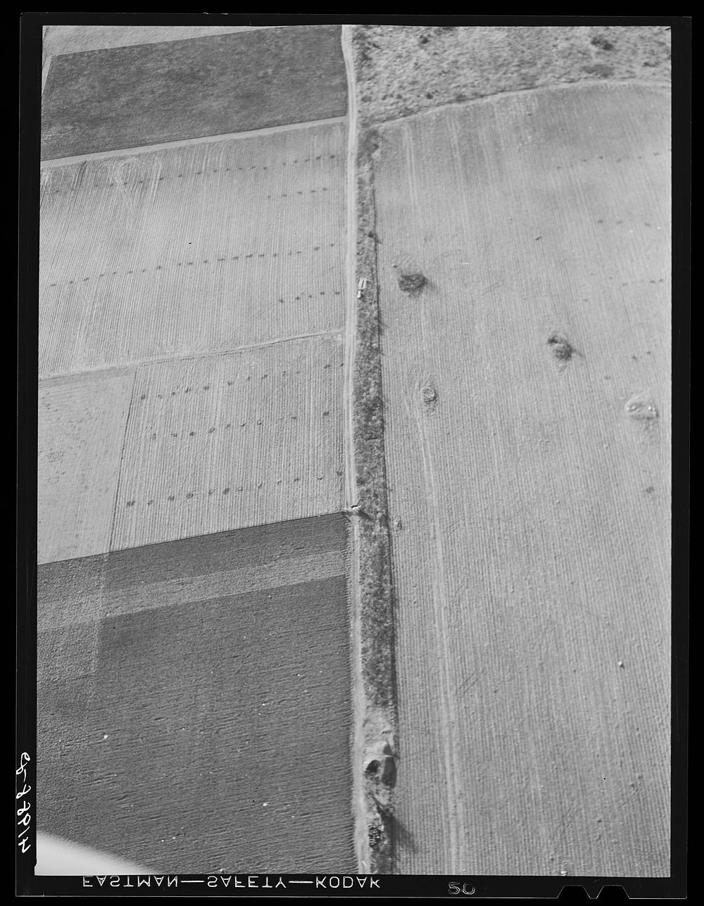 [Untitled photo, possibly related to: Potato field after the crop was gathered. The long horizontal rows are waste vines…