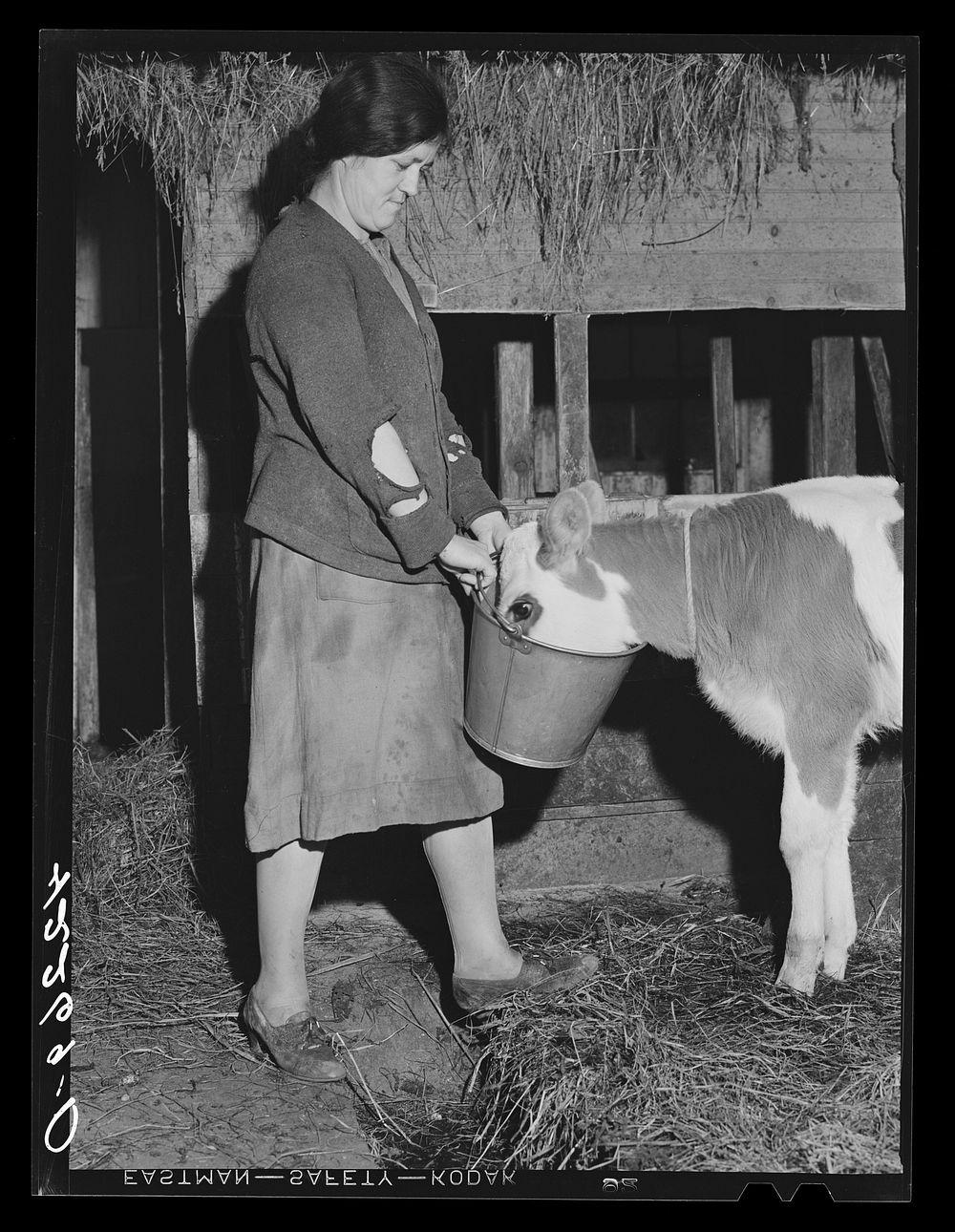 Mary Dralick, sewing machine operator at "Levine & Levine ladies coats."  Shown on her father's farm near Colchester…