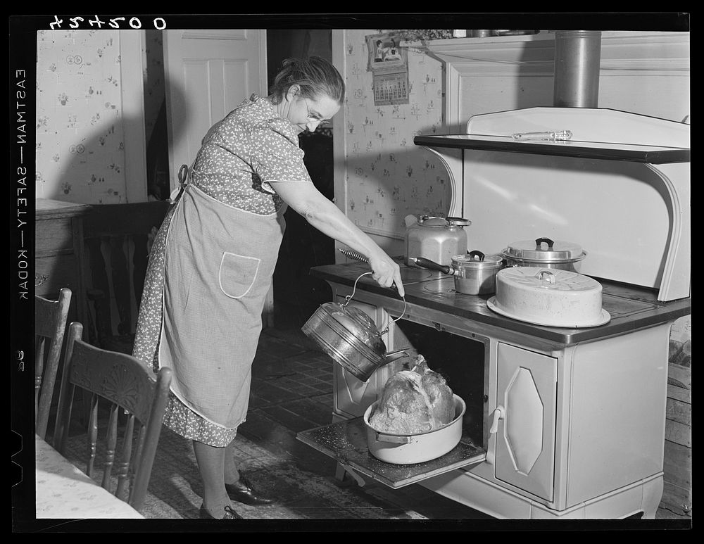 Mrs. T. M. Crouch, of Ledyard. Connecticut pouring some water over her twenty-pound turkey on Thanksgiving Day. Sourced from…