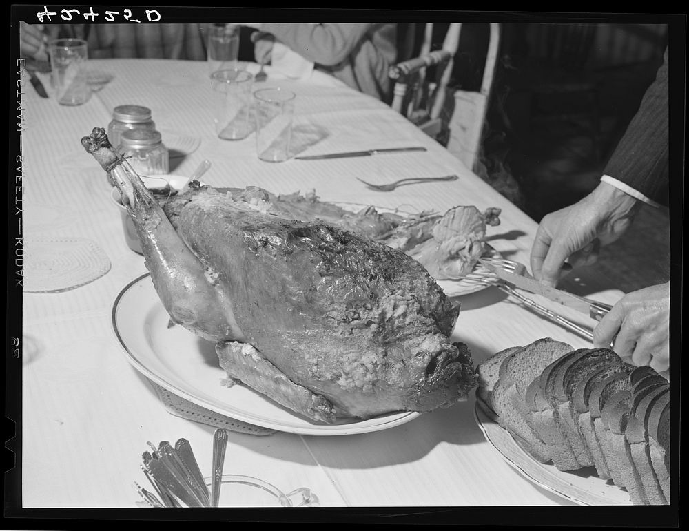 The Thanksgiving turkey at the home of Timothy Levy Crouch. Ledyard, Connecticut. Sourced from the Library of Congress.