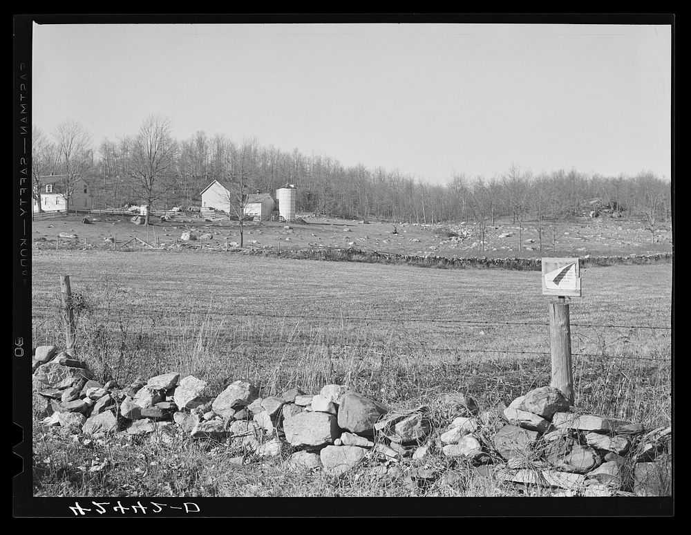 Eastern Connecticut farmscape showing characteristic rocky land. Near Colchester, Connecticut. Sourced from the Library of…