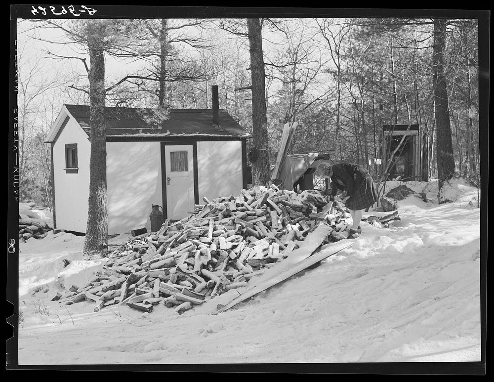 Mrs. M. Lane, young wife of a shipyard worker, gathering some wood just outside her one-room shack. The shack and little…