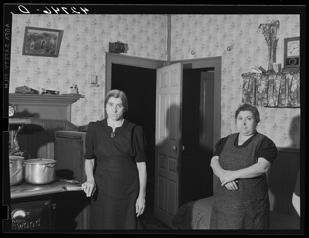 Mrs. D'Achioli and her sister. They run a truck farm and are FSA (Farm Security Administration) clients. There are fourteen…