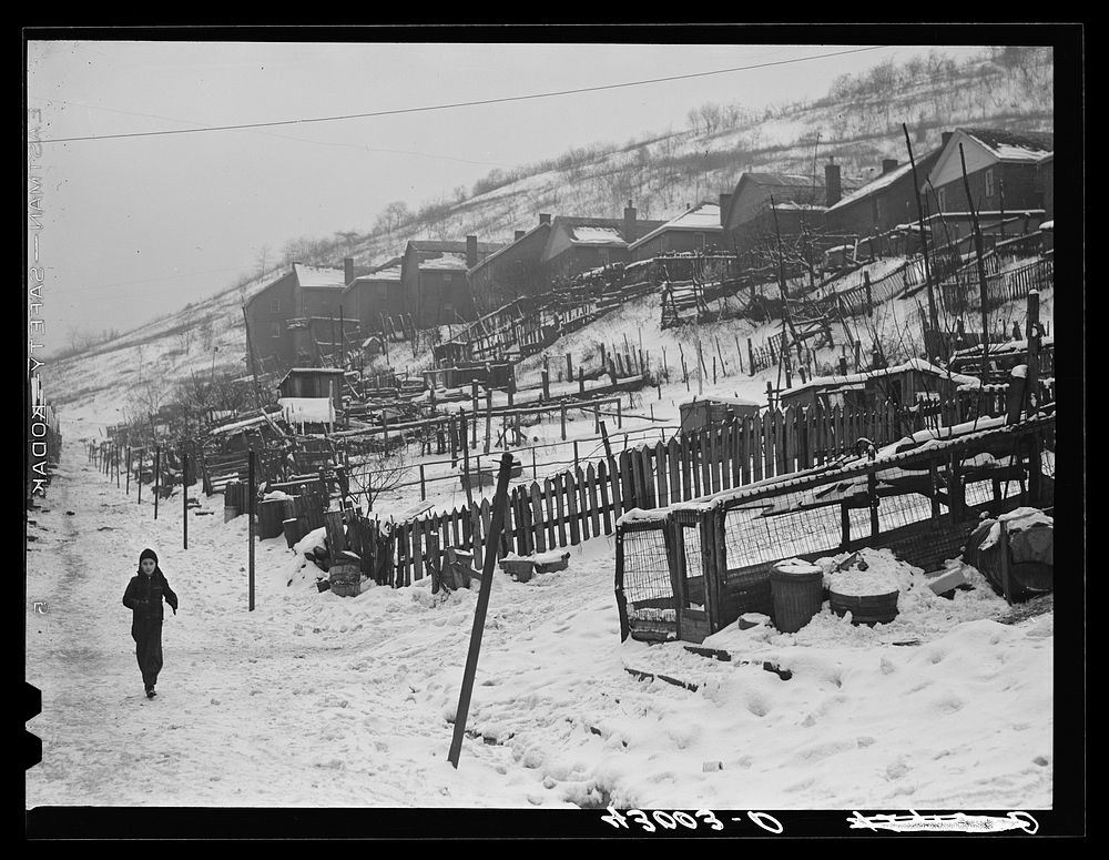 Backyards in the steel town of Midland, Pennsylvania. Sourced from the Library of Congress.