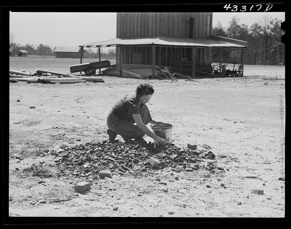[Untitled photo, possibly related to: Woman who lives with her family in the upper part of tobacco barn, gathering coal.…