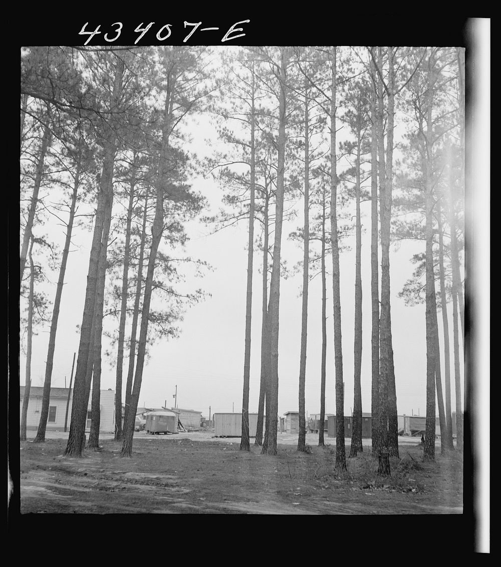 [Untitled photo, possibly related to: Trailer settlement of workers from Fort Bragg near the woods. Near Fayetteville, North…