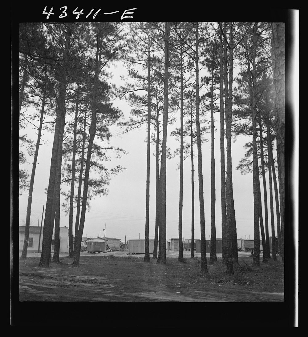 Trailer settlement of workers from Fort Bragg near the woods. Near Fayetteville, North Carolina. Sourced from the Library of…