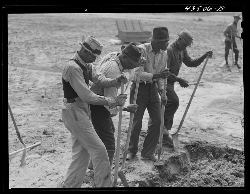 Digging new graves for a cemetery that is being moved out of the Santee-Cooper basin. Near Bonneau, South Carolina. Sourced…