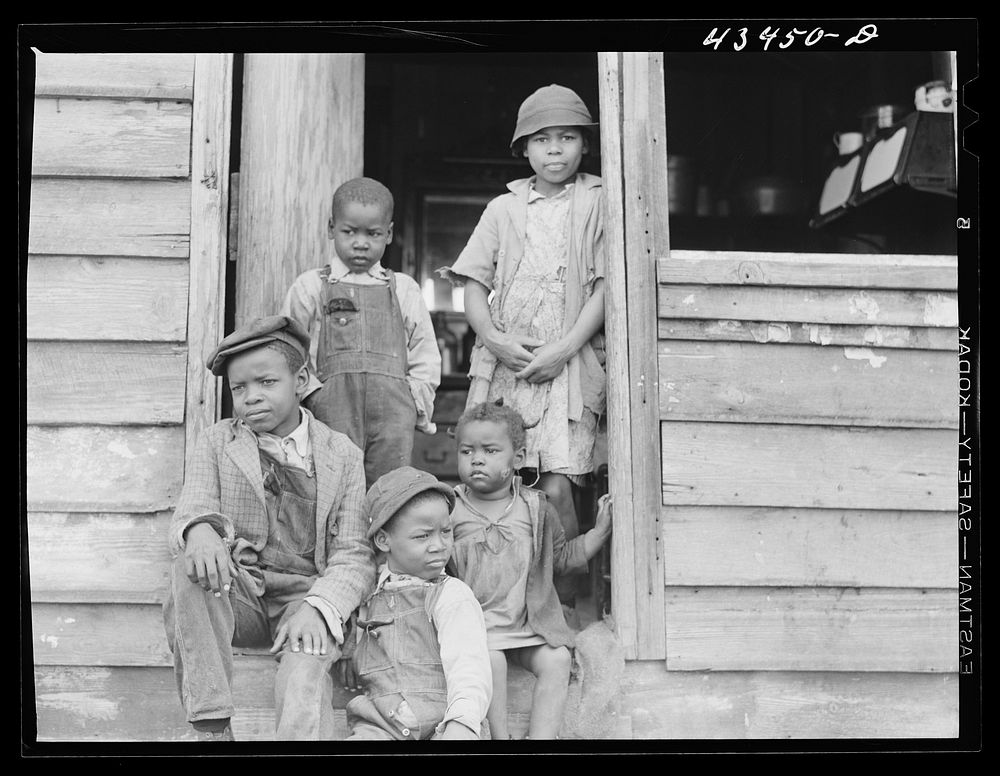 Family of small landowner who moved out of the Santee-Cooper Basin, at their "new home" near Bonneau, South Carolina.…