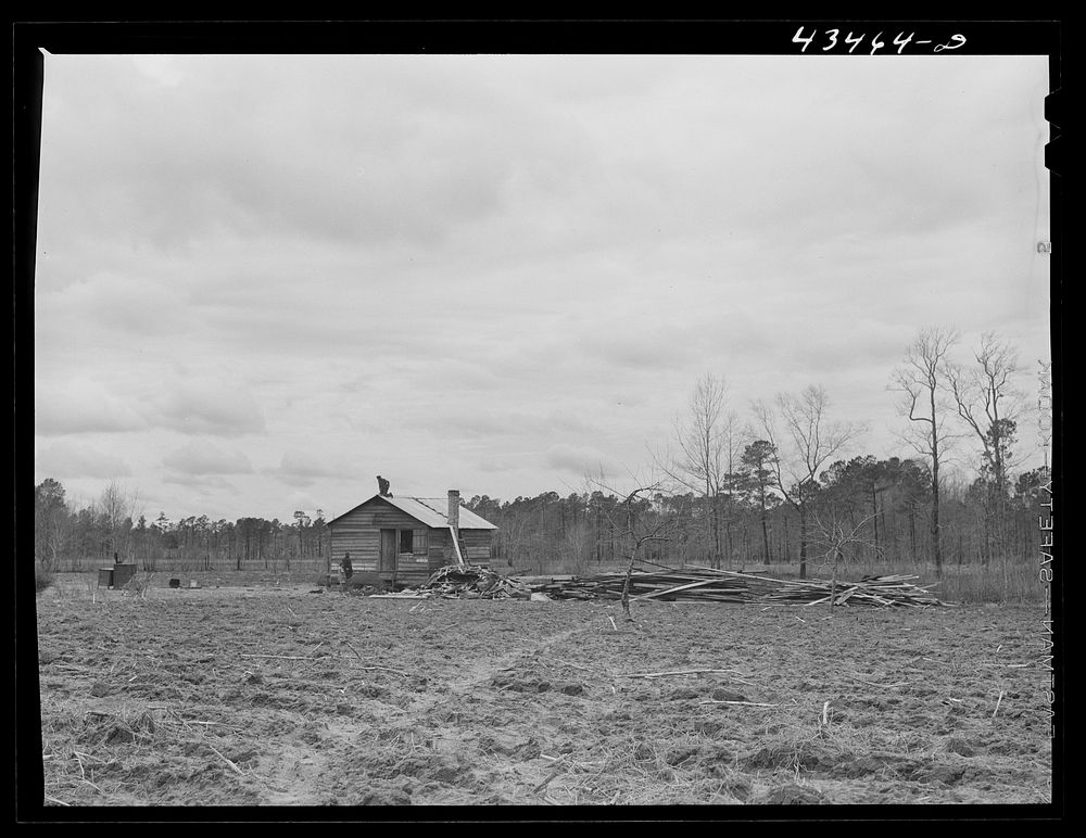 Rebuilding a house carried out of the Santee-Cooper Basin. Showing lumber that was the out,buildings. Near Bonneau, South…