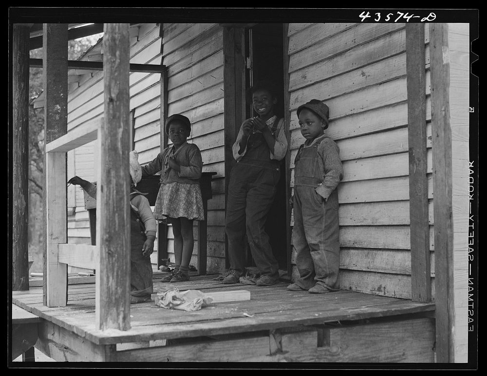 [Untitled photo, possibly related to:  landowner who had moved out of the Santee-Cooper basin to a resettlement near Moncks…