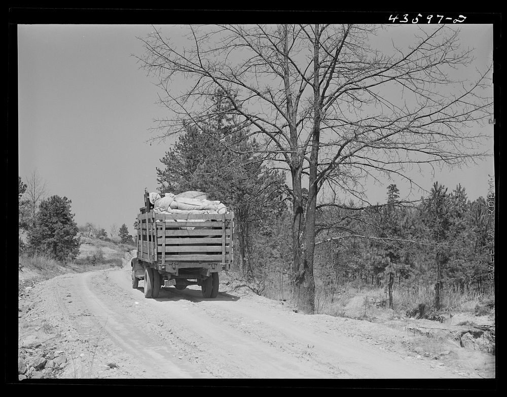 [Untitled photo, possibly related to:  family moving their belongings out of the Camp Croft area. Near Whitestone, South…