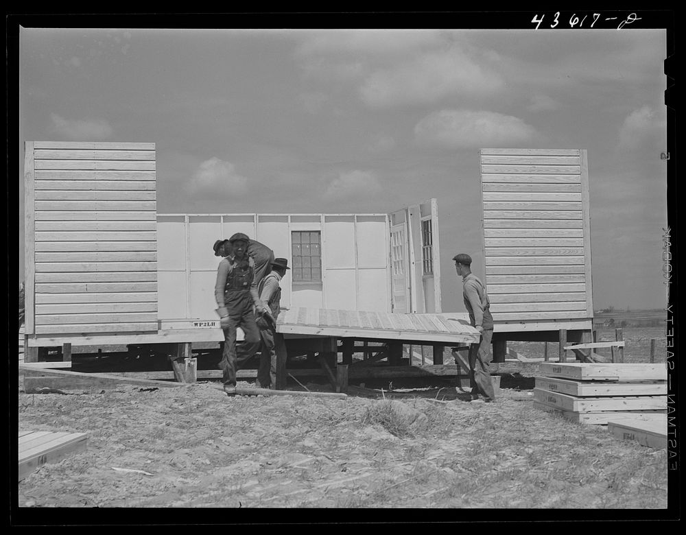 Putting up a wall on a prefabricated house that is being built by FSA (Farm Security Administration) to house some of the…