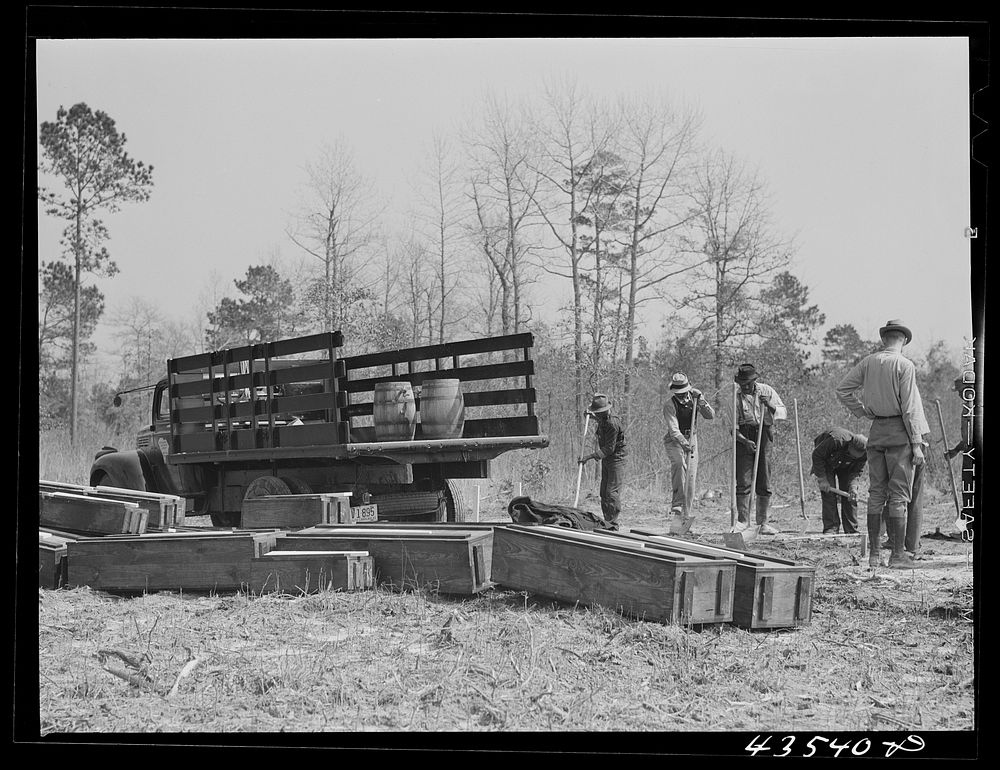 Digging new graves for a cemetery being moved out of Santee-Cooper basin. Near Bonneau, South Carolina. Sourced from the…